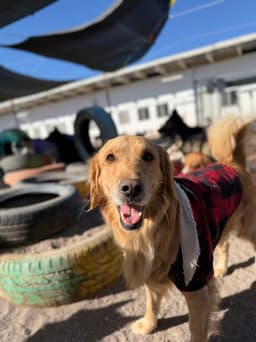 0x0000000000000000000000000000000000000000